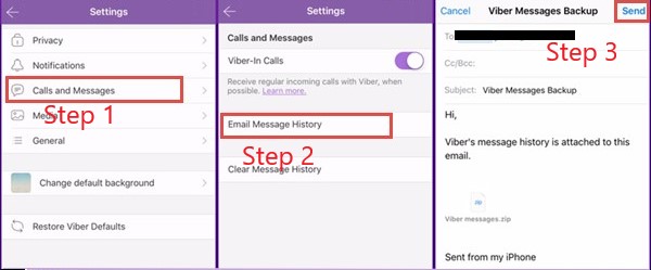 Copia de seguridad de Viber en iPhone por correo electrónico