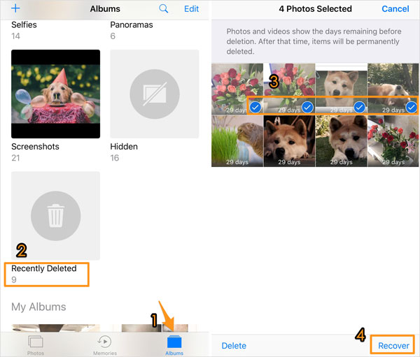 recuperar fotos eliminadas permanentemente en la carpeta de iPhone recientemente eliminada