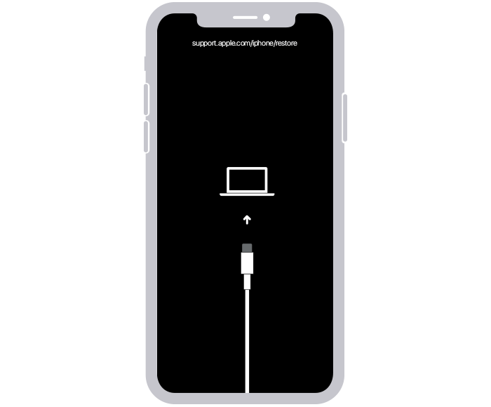 Restaurar iOS