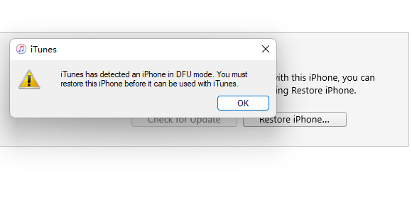 iPhone conectado con iTunes usando el modo DFU