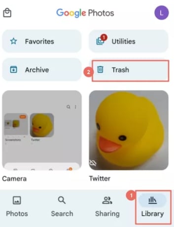 Recuperar fotos eliminadas de Google Photo