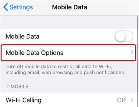 Setting mobile data options.jpg
