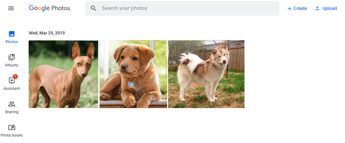 Importar fotos de la computadora a Android o iPhone con Google Photos