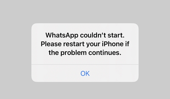 Whatsapp could not start.jpg